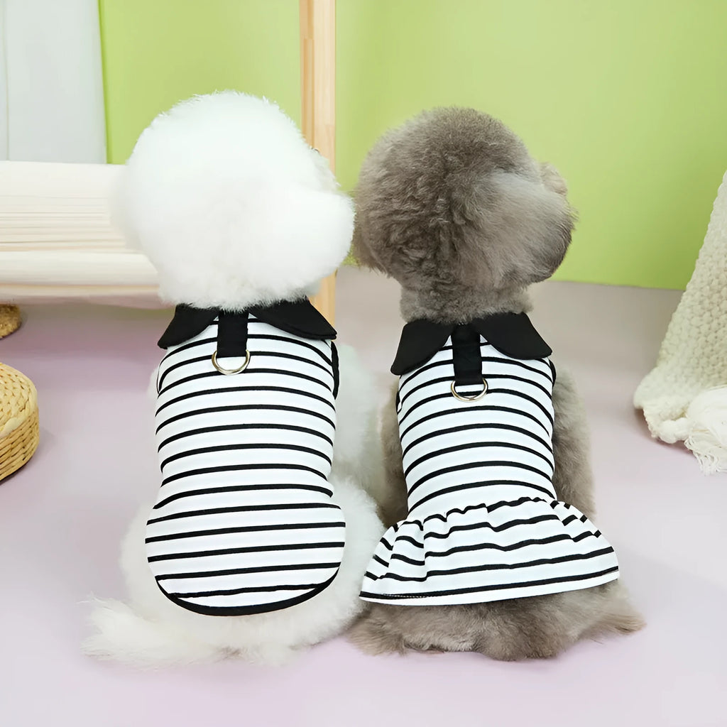 Pet dog wearing cotton stripes T-shirt and matching skirt summer outfit set