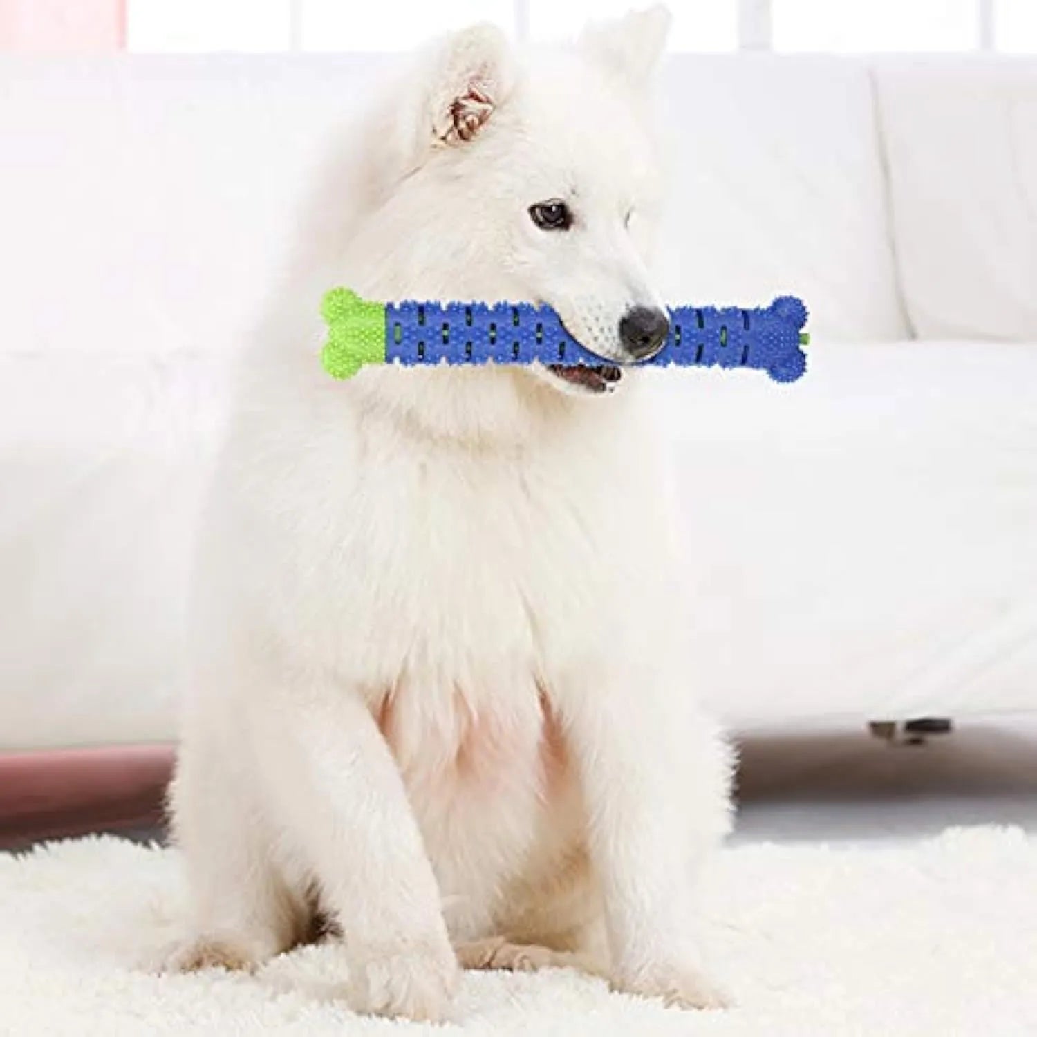 Blue-green 25cm long dog molar tooth cleaner chew toy with silicone bristles and massage nodules