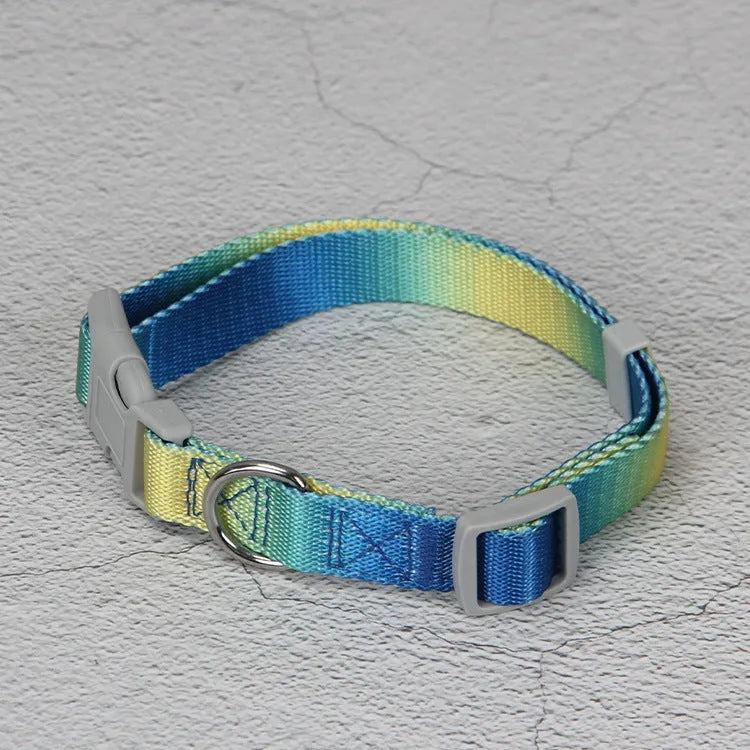 Gradient colour nylon dog lead and adjustable chest harness set for small or medium dogs.