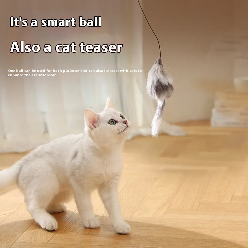 Automatic cat teasing ball toy with plush mouse attachment showing blue orange colour option
