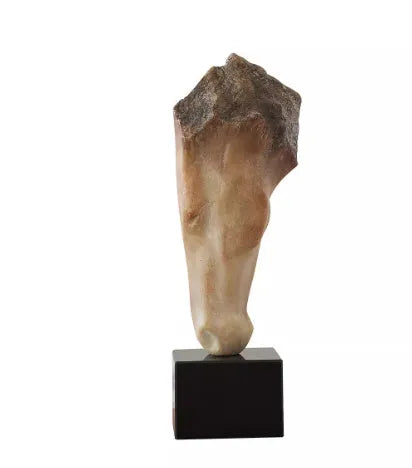 French retro abstract horse head sculpture with carved finish standing 50cm tall on a desktop