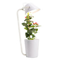 White plastic desktop hydroponic plant growth machine for soilless indoor cultivation