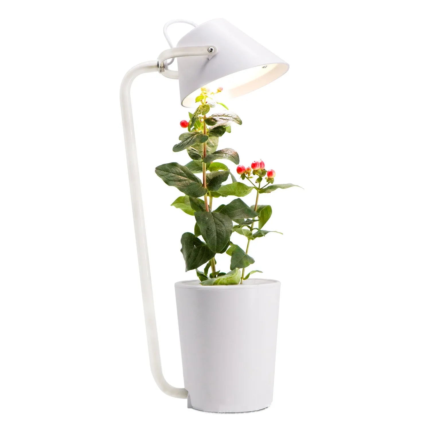 White plastic desktop hydroponic plant growth machine for soilless indoor cultivation