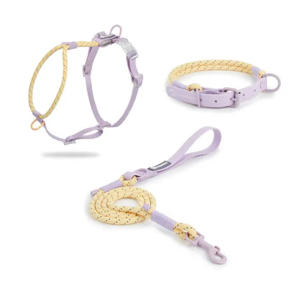 Solid colour PVC dog leash in dark red purple yellow, shown at 120 cm length.
