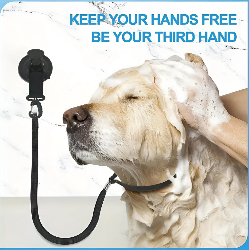 Pet bathing restraint with blue suction cups and adjustable rope securing a dog during washing