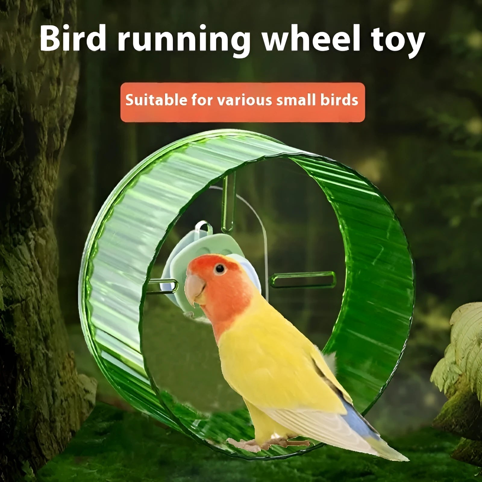 Plastic bird running wheel toy shown in green, available in 17cm and 21cm sizes.