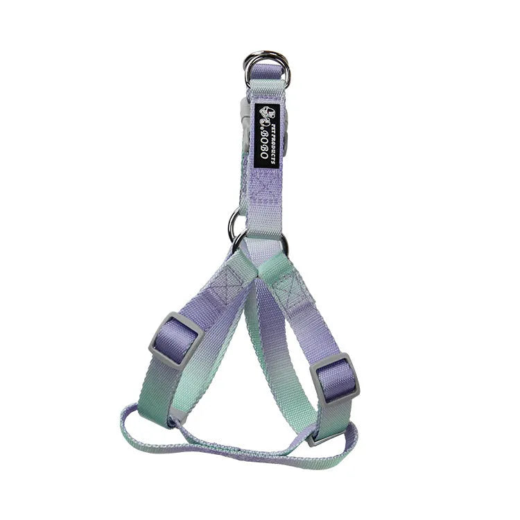 Gradient colour nylon dog lead and adjustable chest harness set for small or medium dogs.
