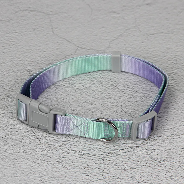 Gradient colour nylon dog lead and adjustable chest harness set for small or medium dogs.