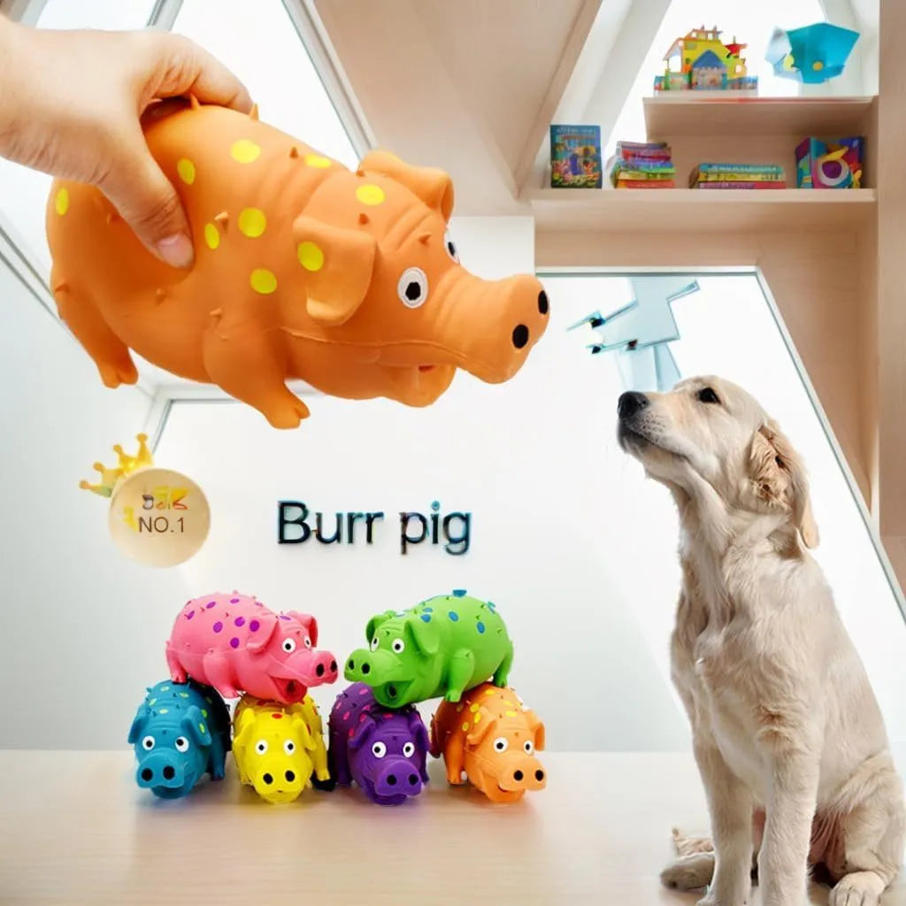 Latex pig-shaped dog chew toy with textured surface and squeaker in multiple colour options
