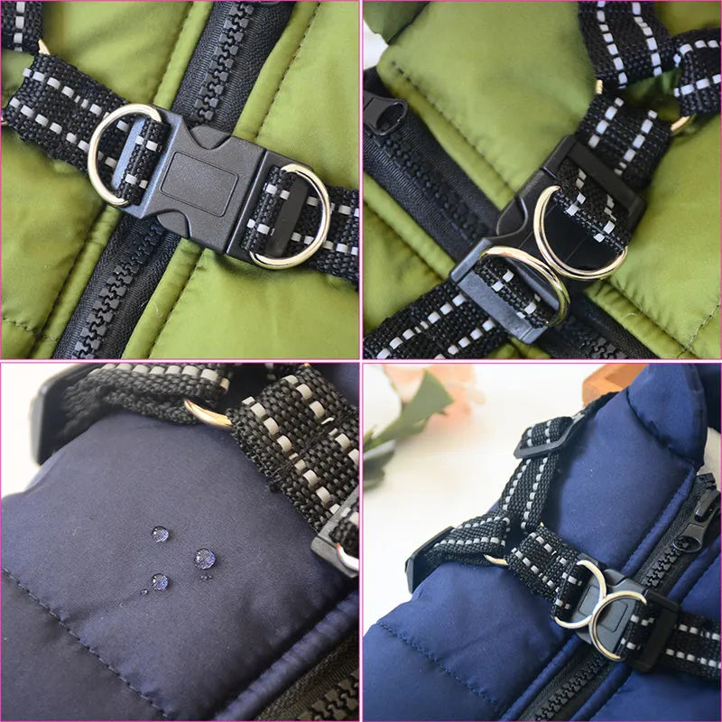 Red waterproof dog coat with a harness hole on a dog, showing the water-resistant fabric and size fit.