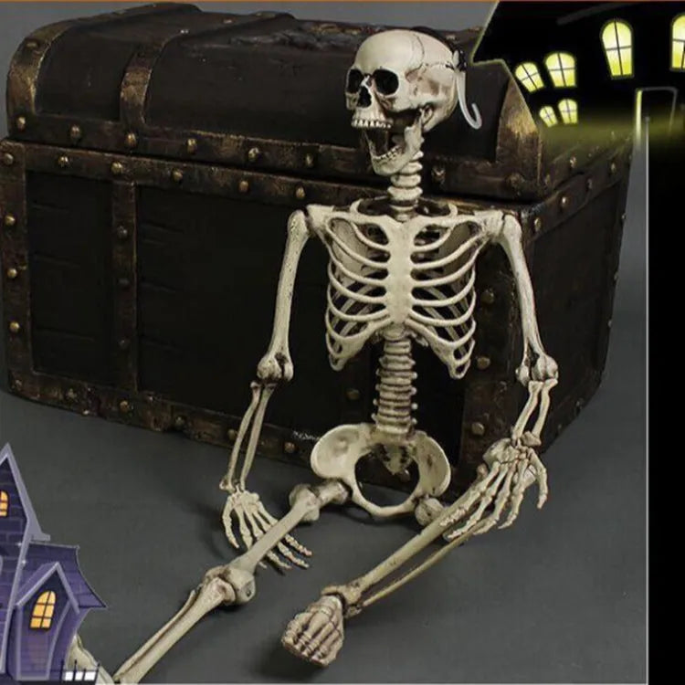 170 cm tall plastic skeleton prop with detailed human skull for Halloween or display