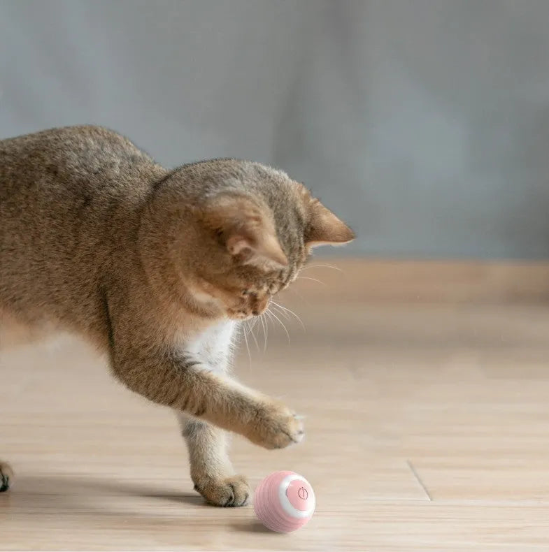 Blue automatic self-moving cat toy ball with rechargeable battery bouncing on floor