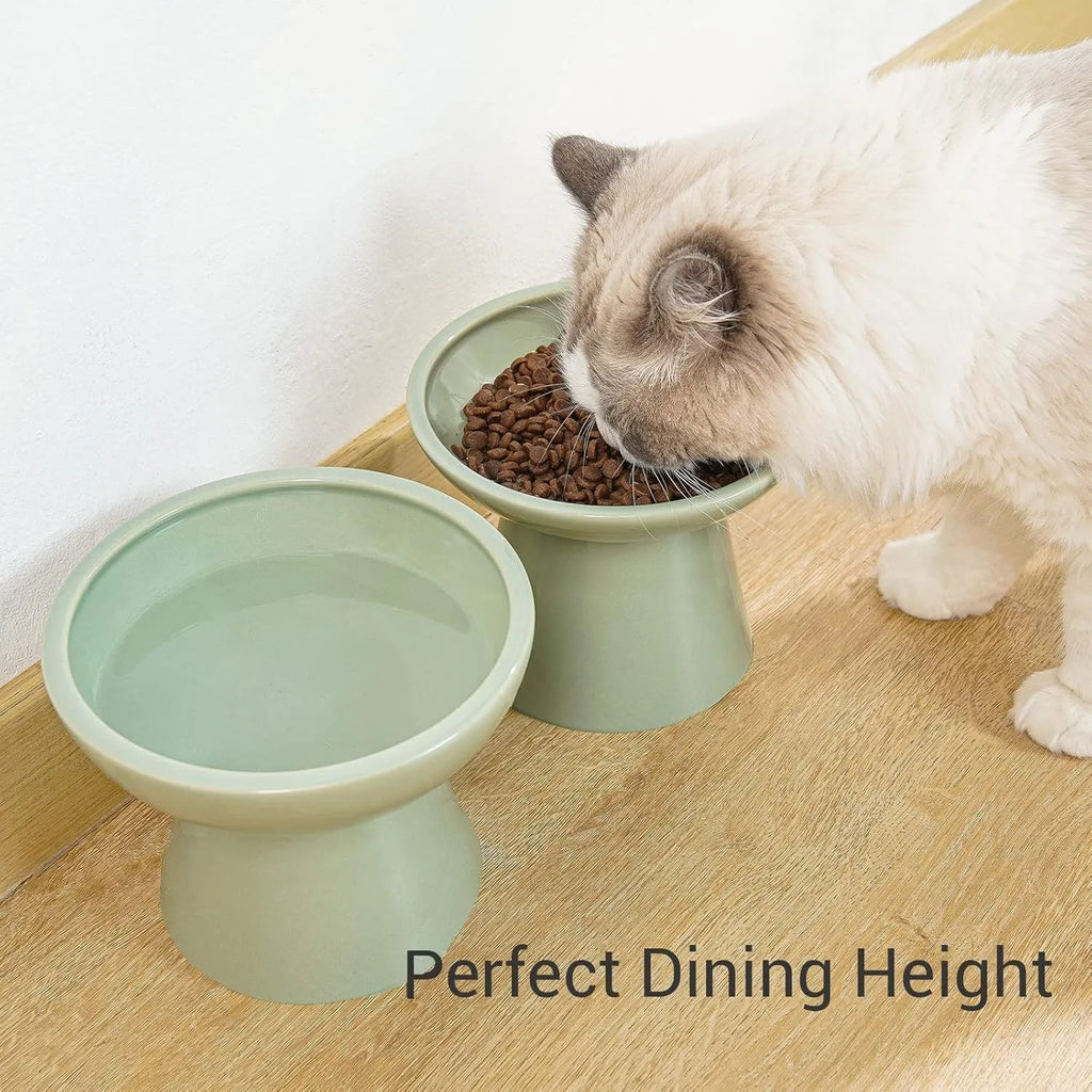 Extra wide elevated ceramic cat bowl in blue, green, pink or white colours