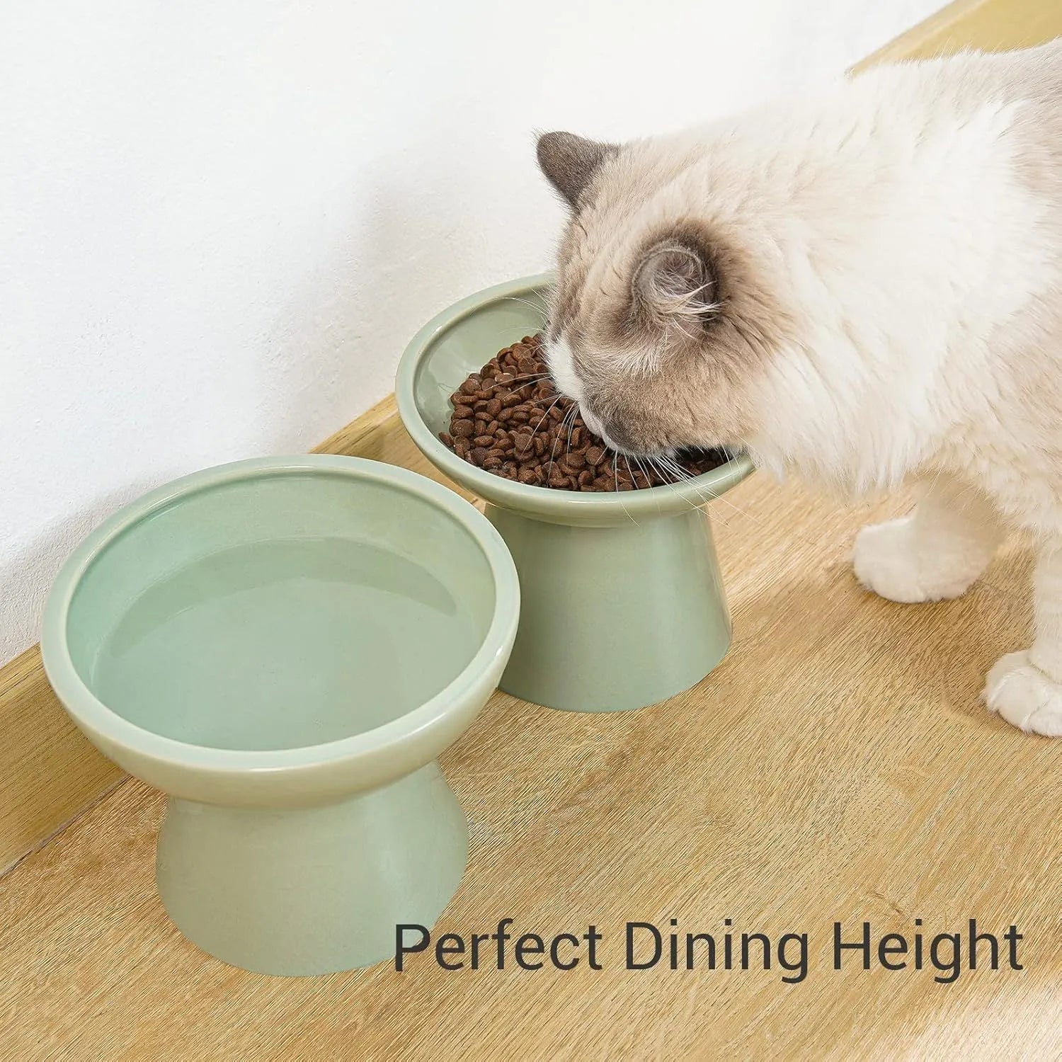 Extra wide elevated ceramic cat bowl in blue, green, pink or white colours