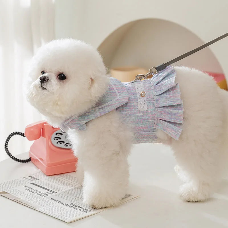 Pink and purple pet clothing garment for a cat or small dog on a white background.
