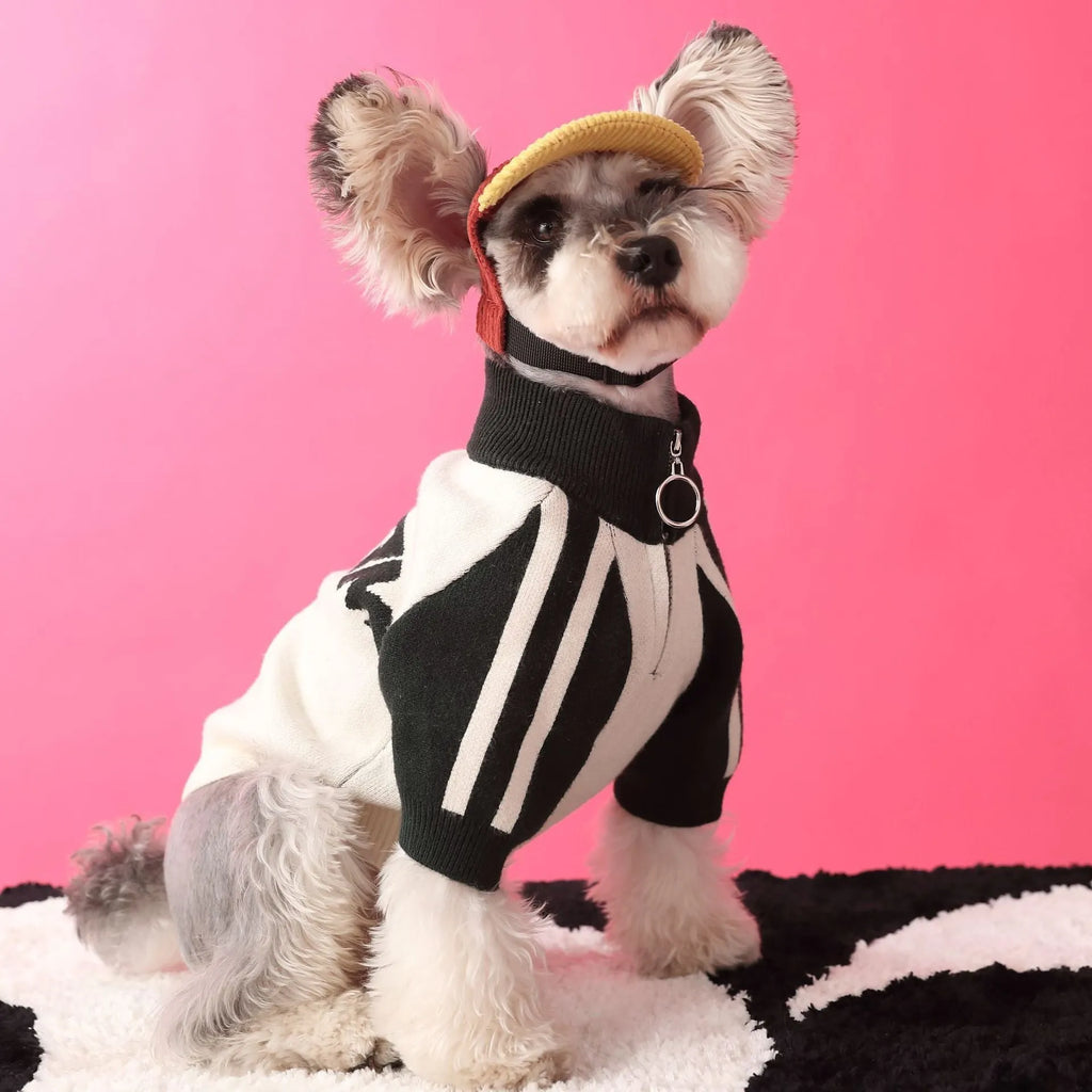 Red puppy dog wearing wool sports cardigan sweater pet clothing