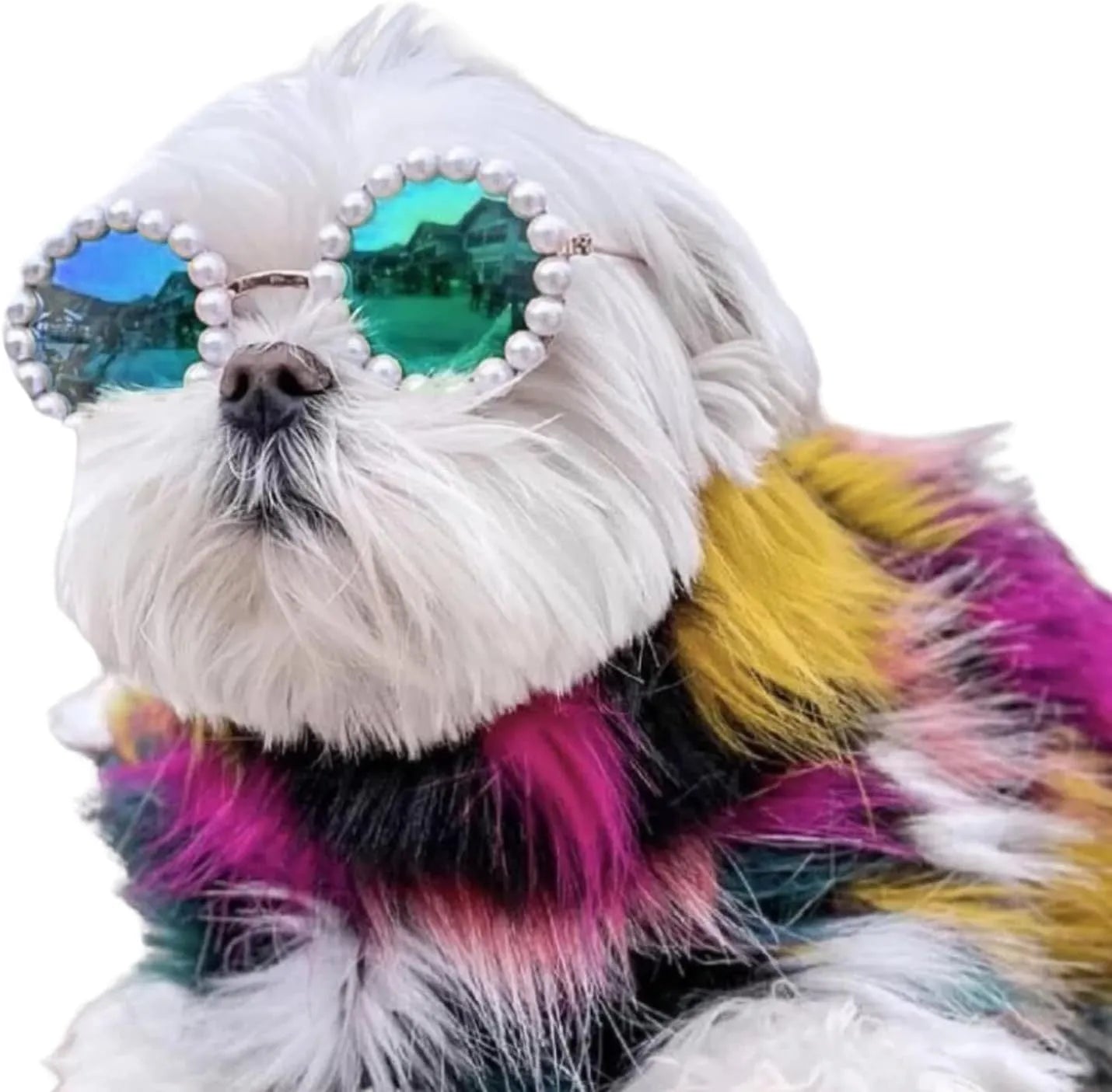 Round pearl sunglasses for a cat or dog, shown in blue on a neutral background.
