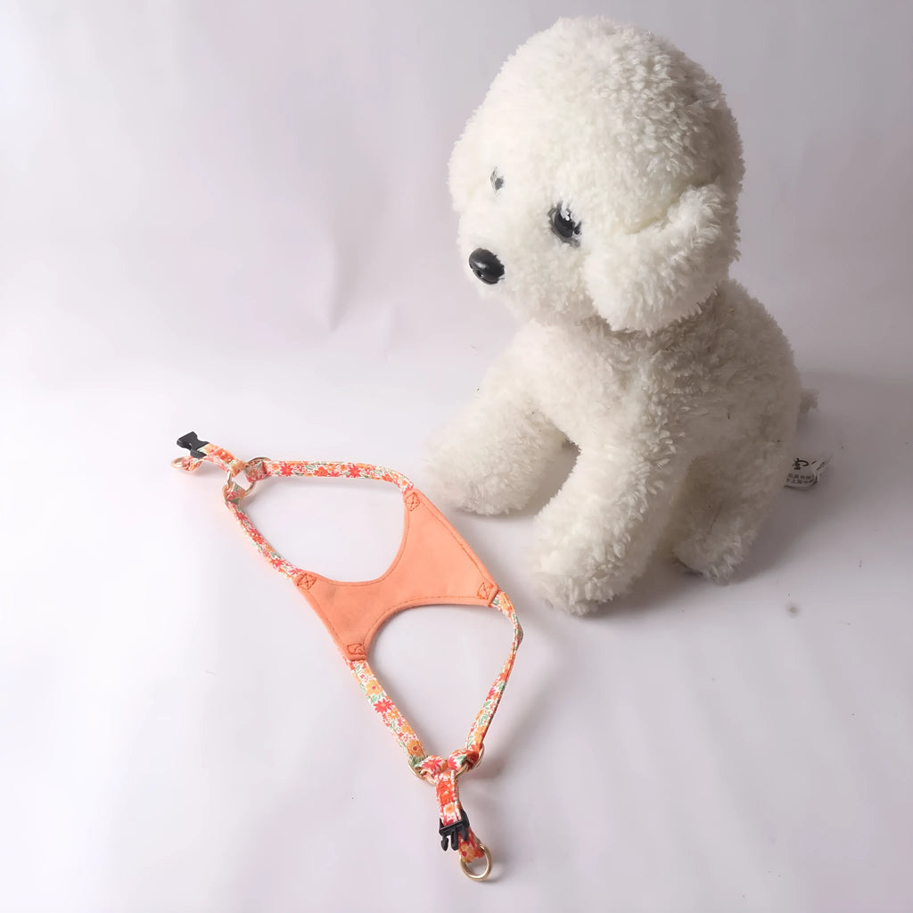 Cloth dog harness and leash set in orange colour on a dog