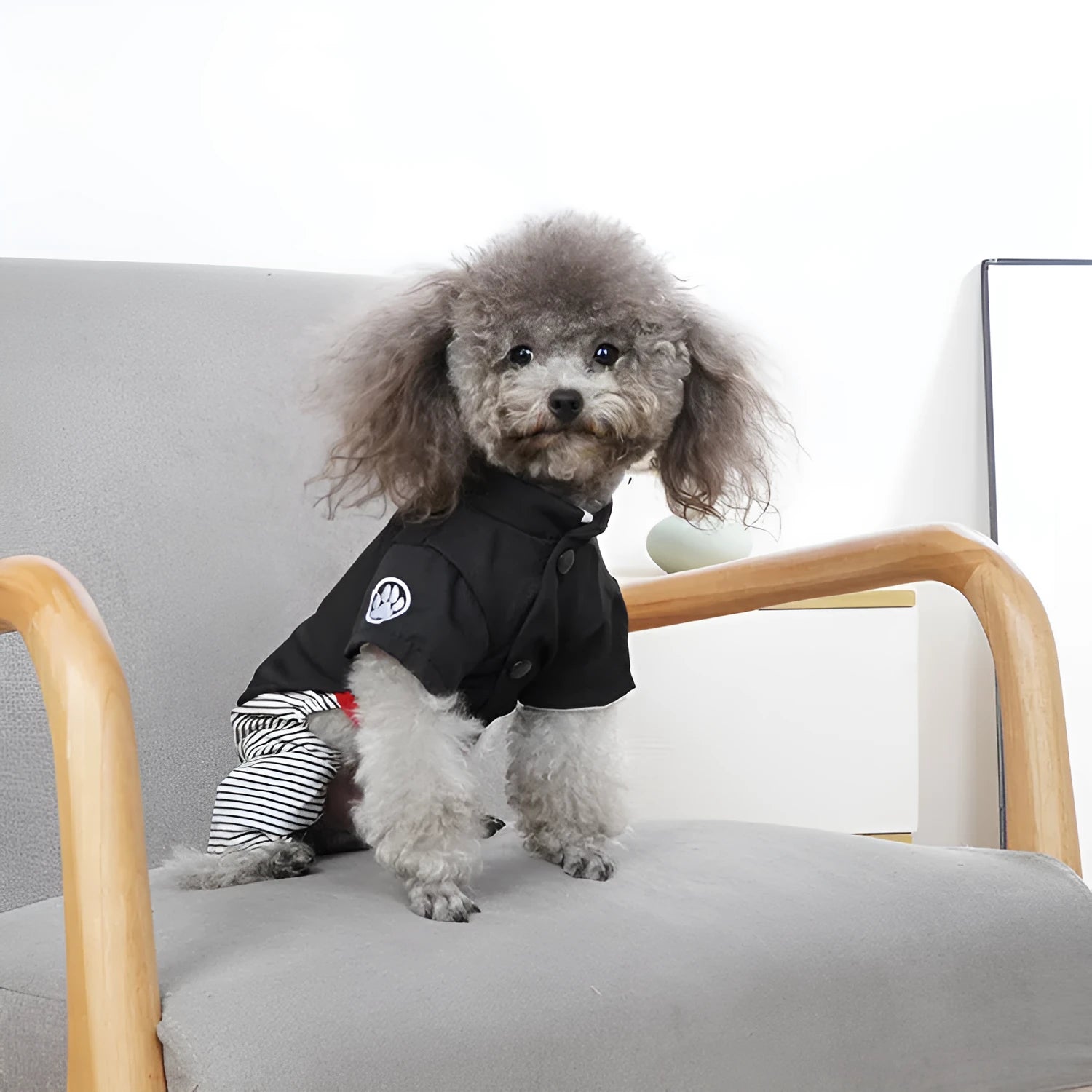 Poodle dog clothes in cotton fabric showing four-foot pants and skirt style options