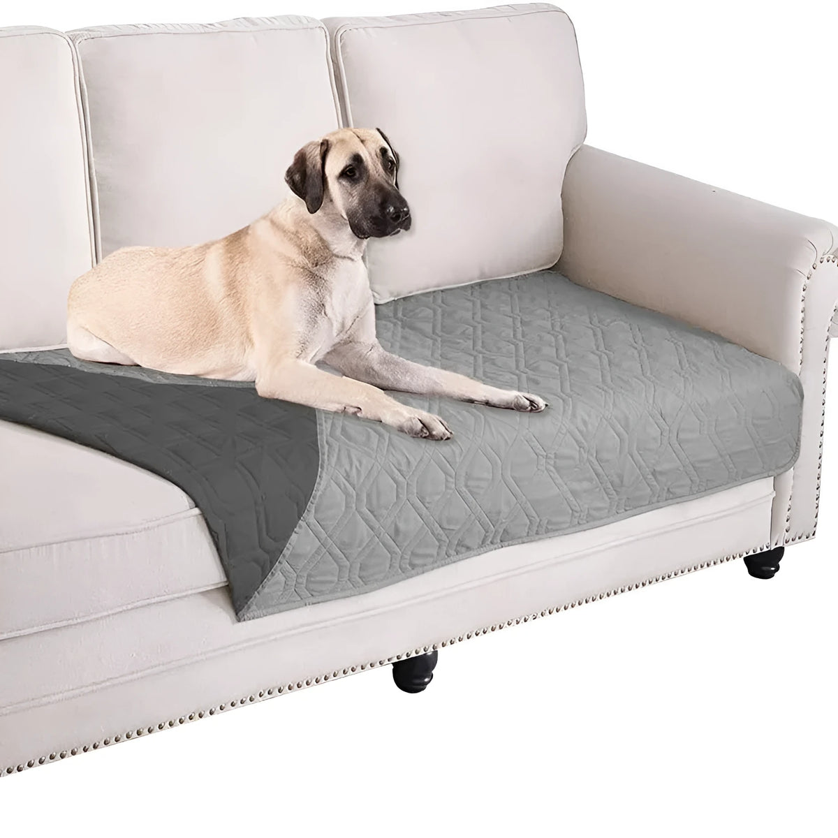Reversible dog blanket and sofa cover in waterproof washable fabric, showing two colour sides.
