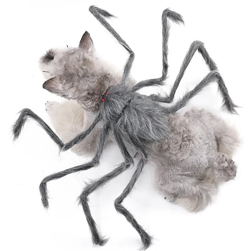 Halloween spider costume for pets in four colour variations with three size options