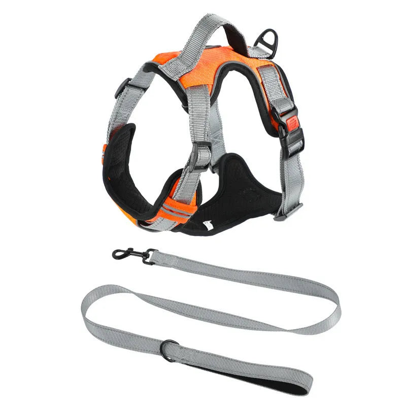 Polyester dog chest strap harness with hand holding rope in multiple colour options for medium large breed dogs