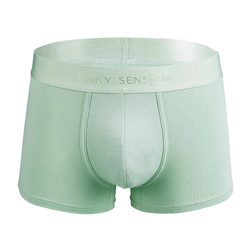 Men's solid colour cotton boxer shorts on a white background, showing available colours: black, white, silver grey, light green.