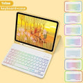 iPad leather protective case with luminous Bluetooth keyboard and mouse in black colour with RGB backlighting