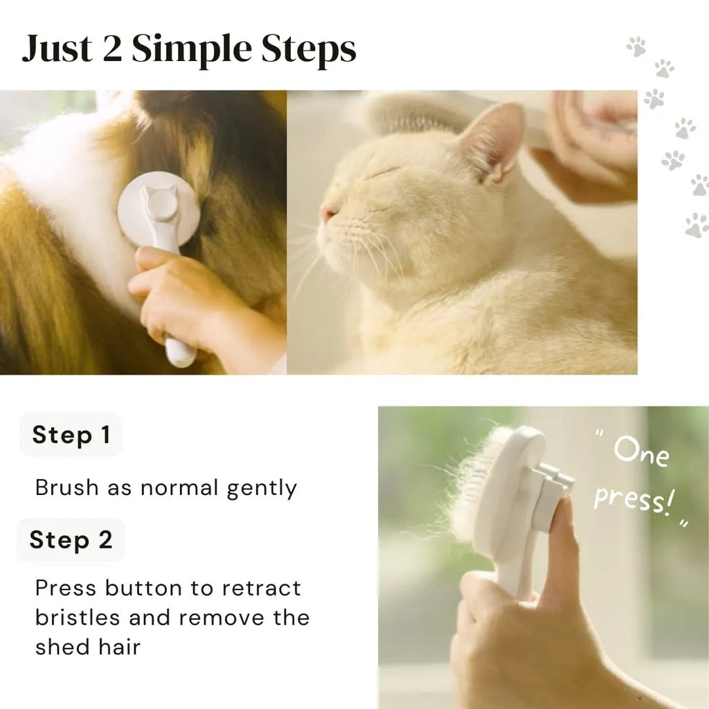 Blue self-cleaning slicker brush for dogs and cats with stainless steel pins and a rubber handle.