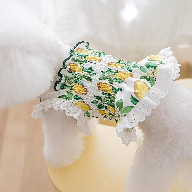 Rock yellow lemon polyester princess-style dog skirt dress with thin breathable fabric and straps.