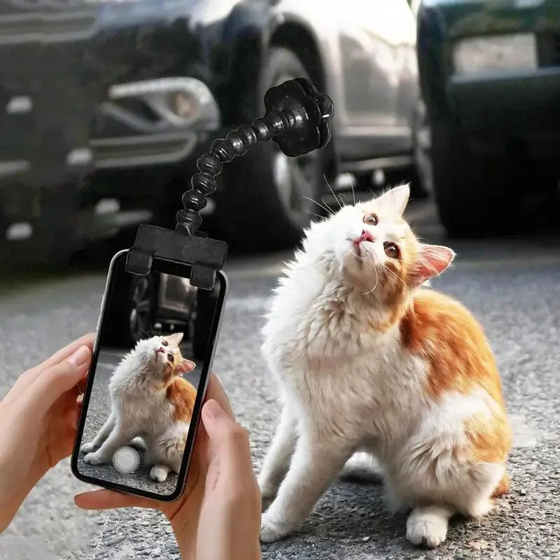 Plastic pet photography mobile phone holder with rotating treat clip in black or white colour