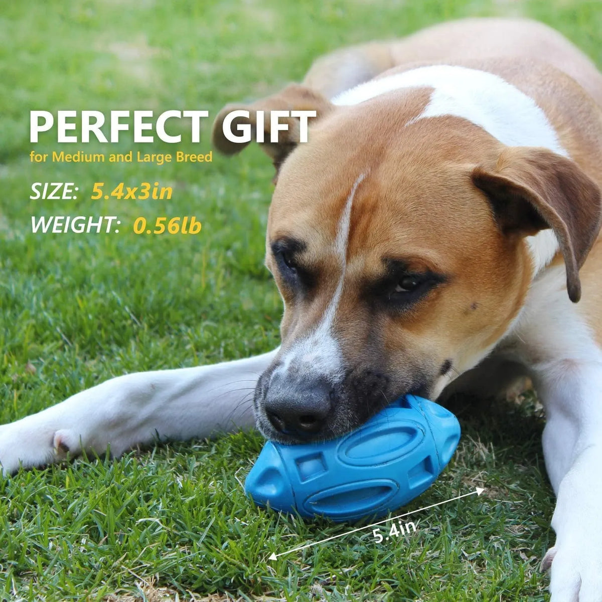 Blue natural rubber squeaky dog toy with textured surface for medium and large breeds