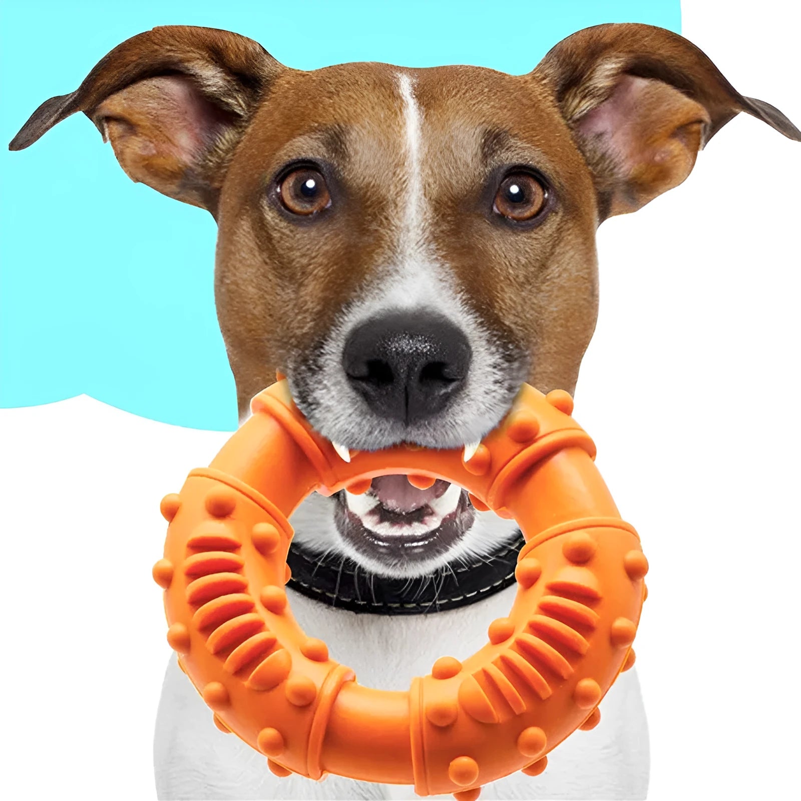Blue hollow dog fetching stick toy held in a person's hand, showing its bendy, lightweight design for fetch games.