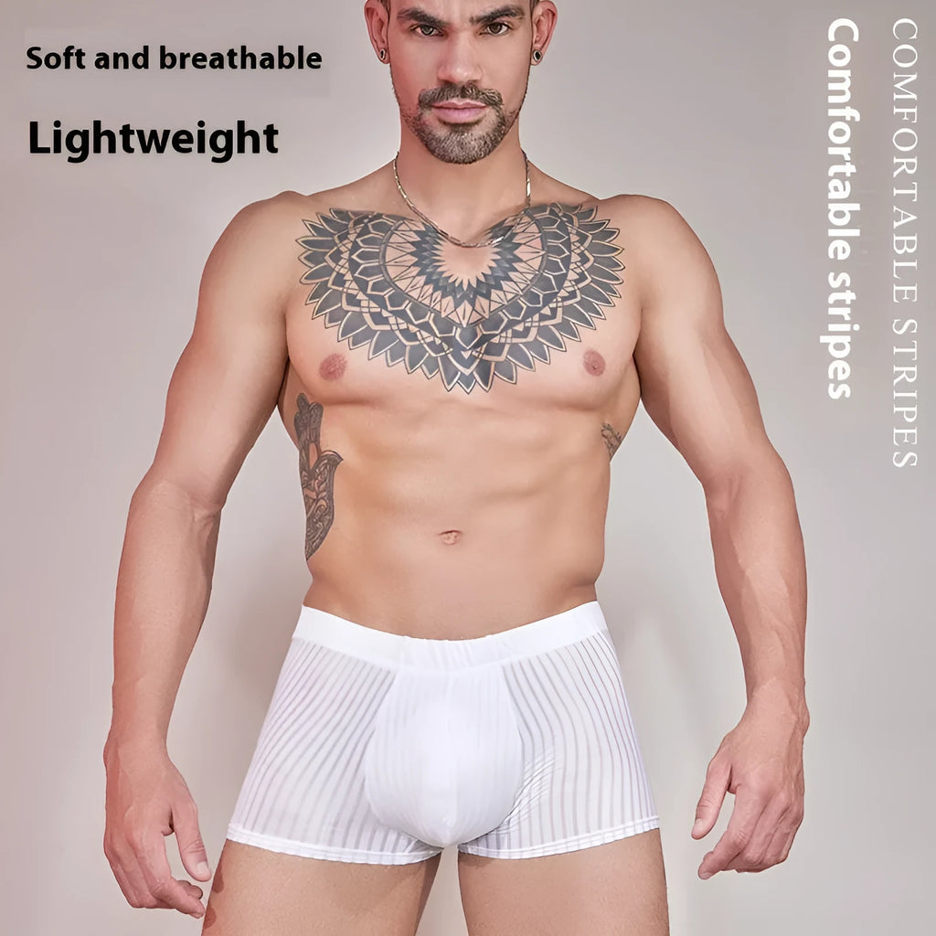 Men's striped underwear in thin transparent nylon fabric, shown in dark grey colour.