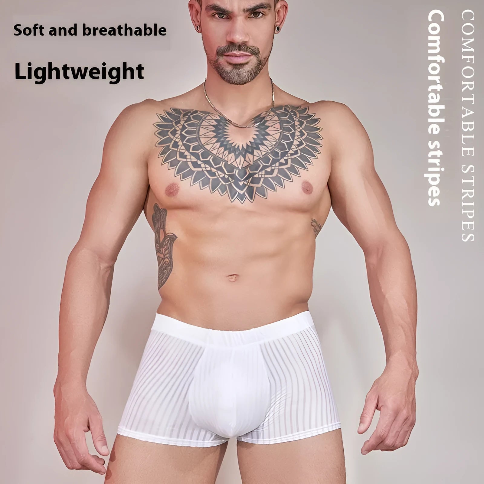 Men's striped underwear in thin transparent nylon fabric, shown in dark grey colour.