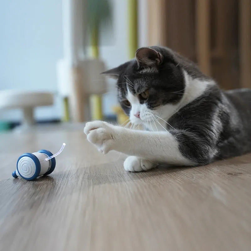 Blue electric cat toy mouse with automatic motion, 60x50x36mm, USB rechargeable, ABS TPU PVC
