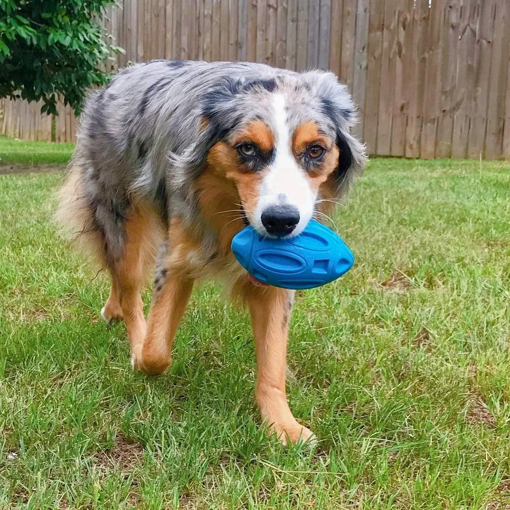 Blue natural rubber squeaky dog toy with textured surface for medium and large breeds