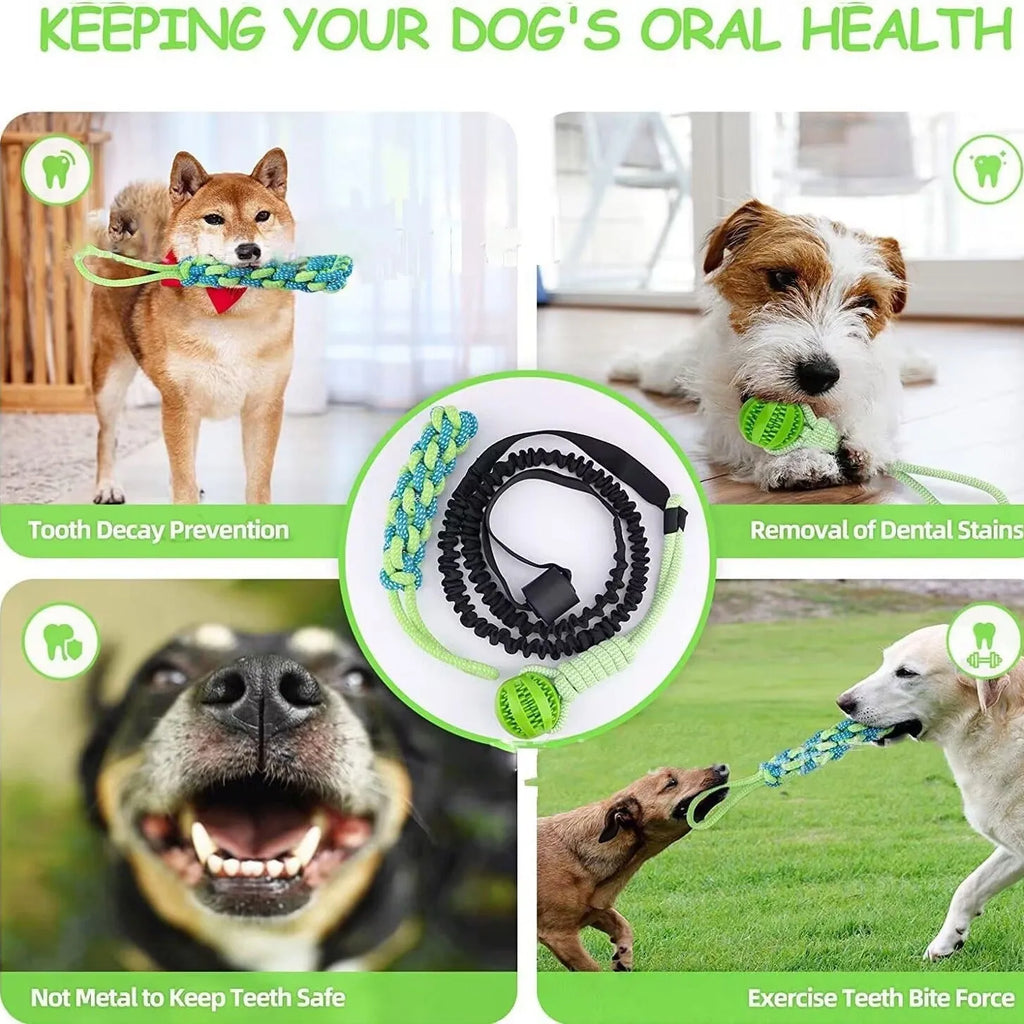 Green cotton dog tug-of-war rope toy with corncob or teether ball design for indoor outdoor play