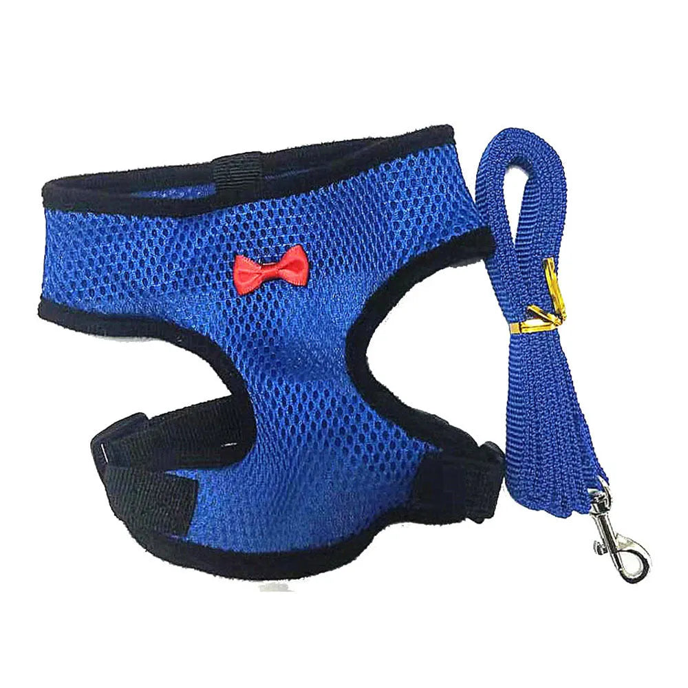Chicken harness vest with matching collar and bow for poultry, includes 110cm traction rope