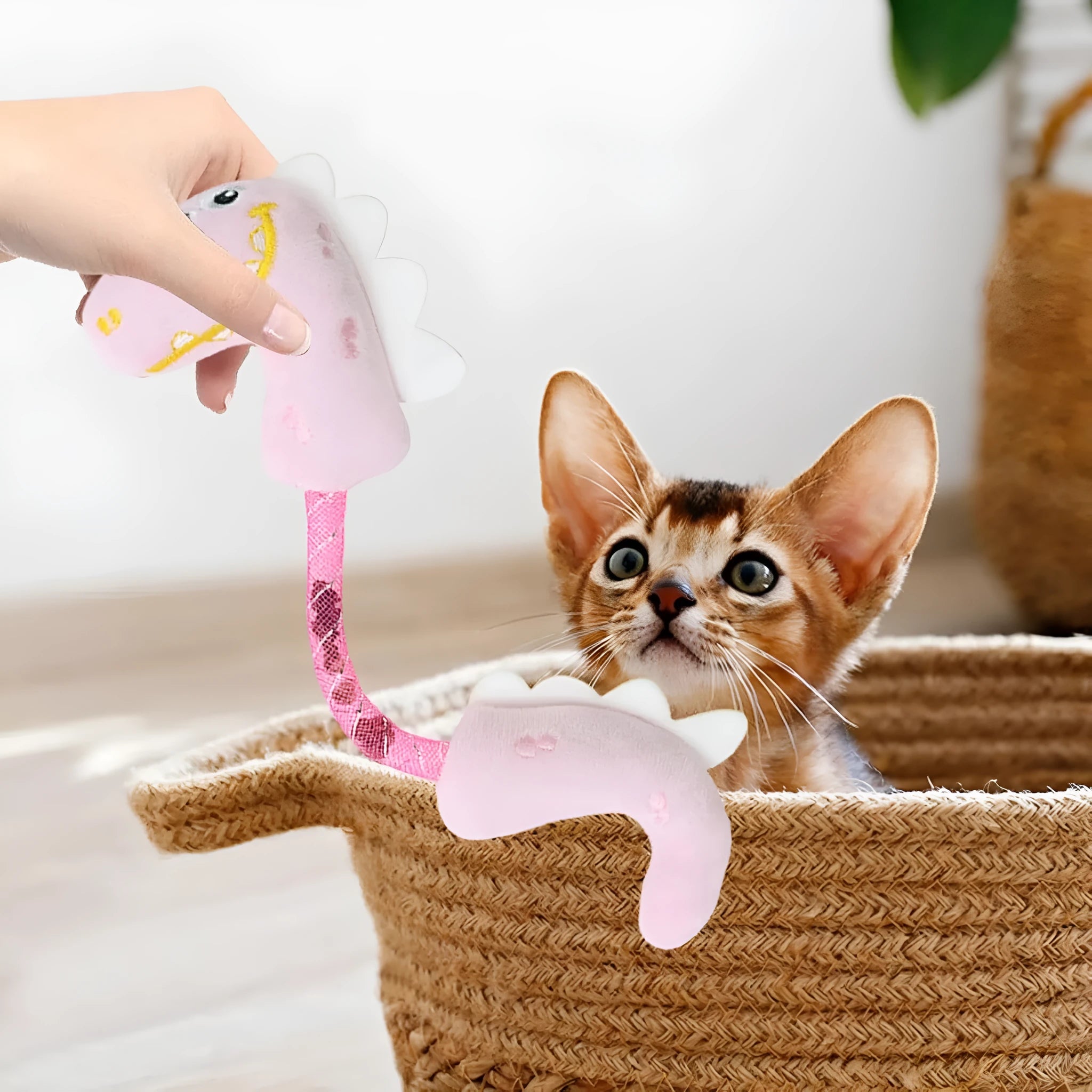 Four-piece cat toy set showing a catnip rope, springs, a kicker toy, and plush mouse, fish, and bunny in pink, purple, and yellow.