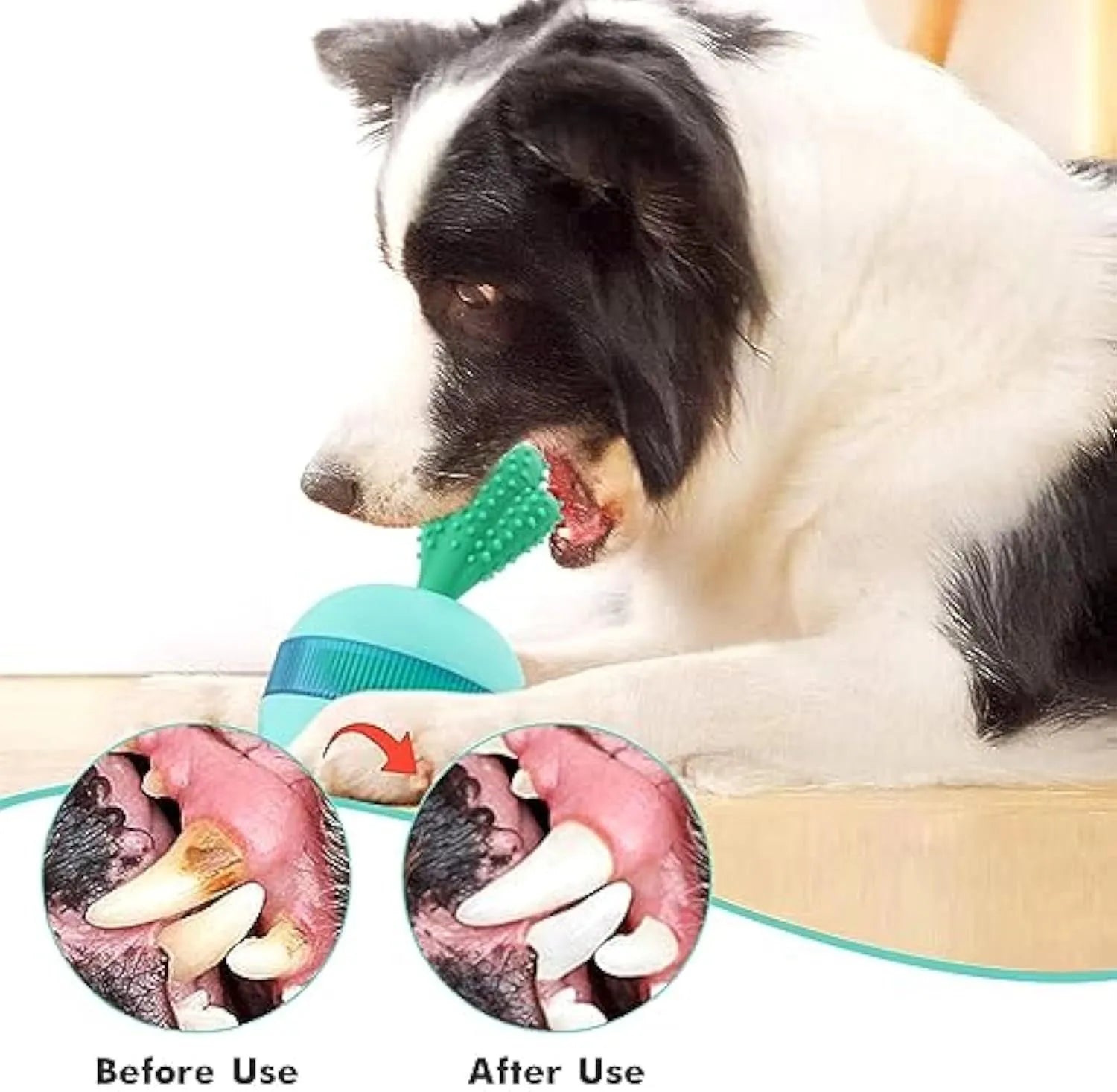 Blue and green durable rubber treat dispensing dog ball for medium and large dogs