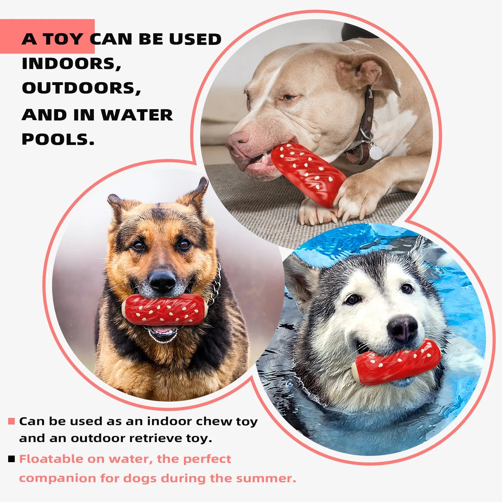 Plastic molar rod dog chew toy with glue toothbrush design and hollow treat compartment in primary colours