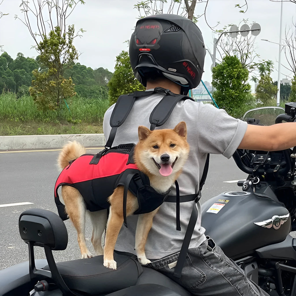 Soft Oxford cloth pet backpack shown in black, functioning as both a carrier and an emergency walking stretcher for dogs.