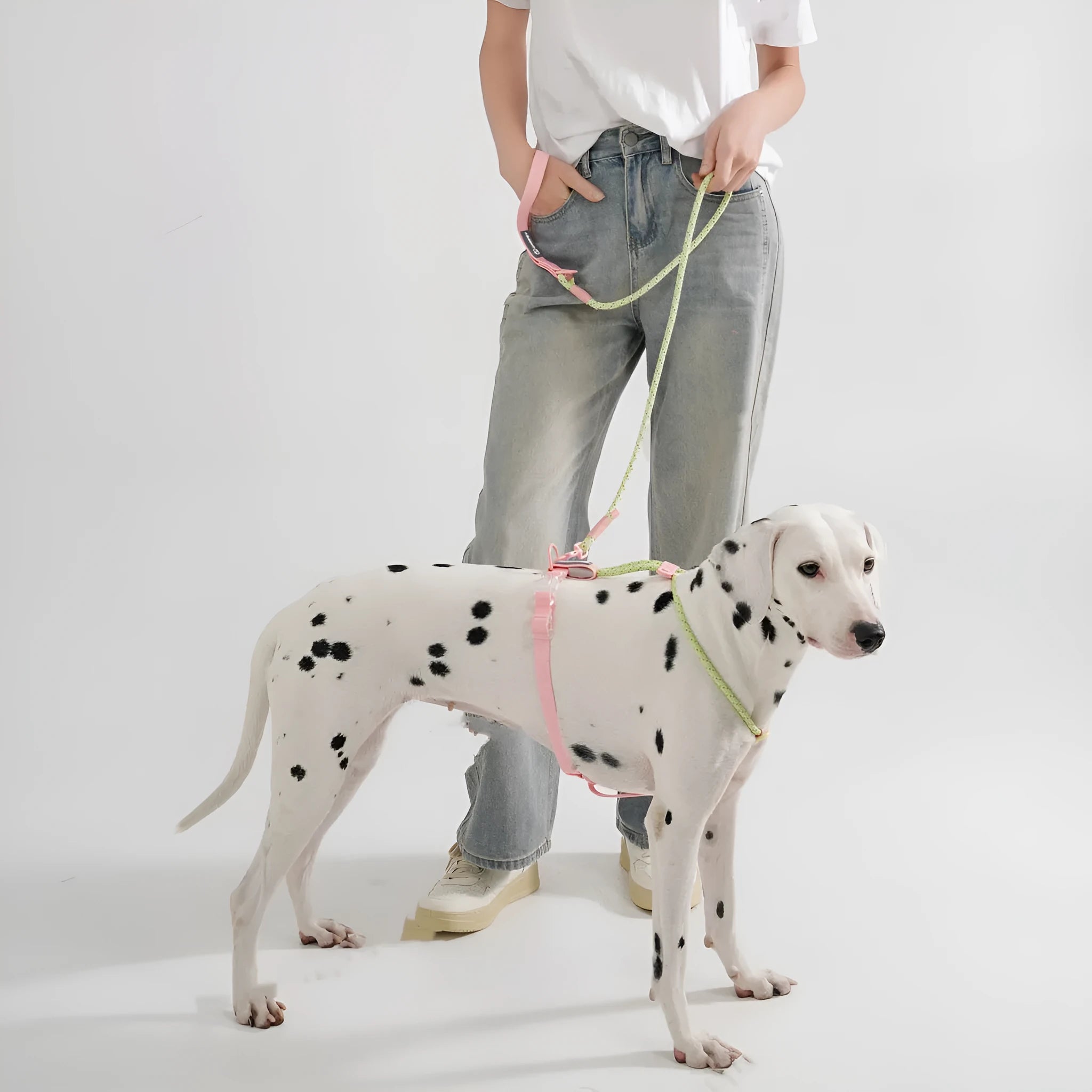 Solid colour PVC dog leash in dark red purple yellow, shown at 120 cm length.