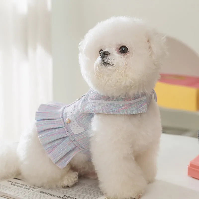 Pink and purple pet clothing garment for a cat or small dog on a white background.