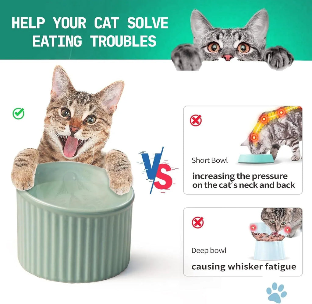 Dark green ceramic elevated cat bowl with round, whisker-friendly shape on a tilted base.