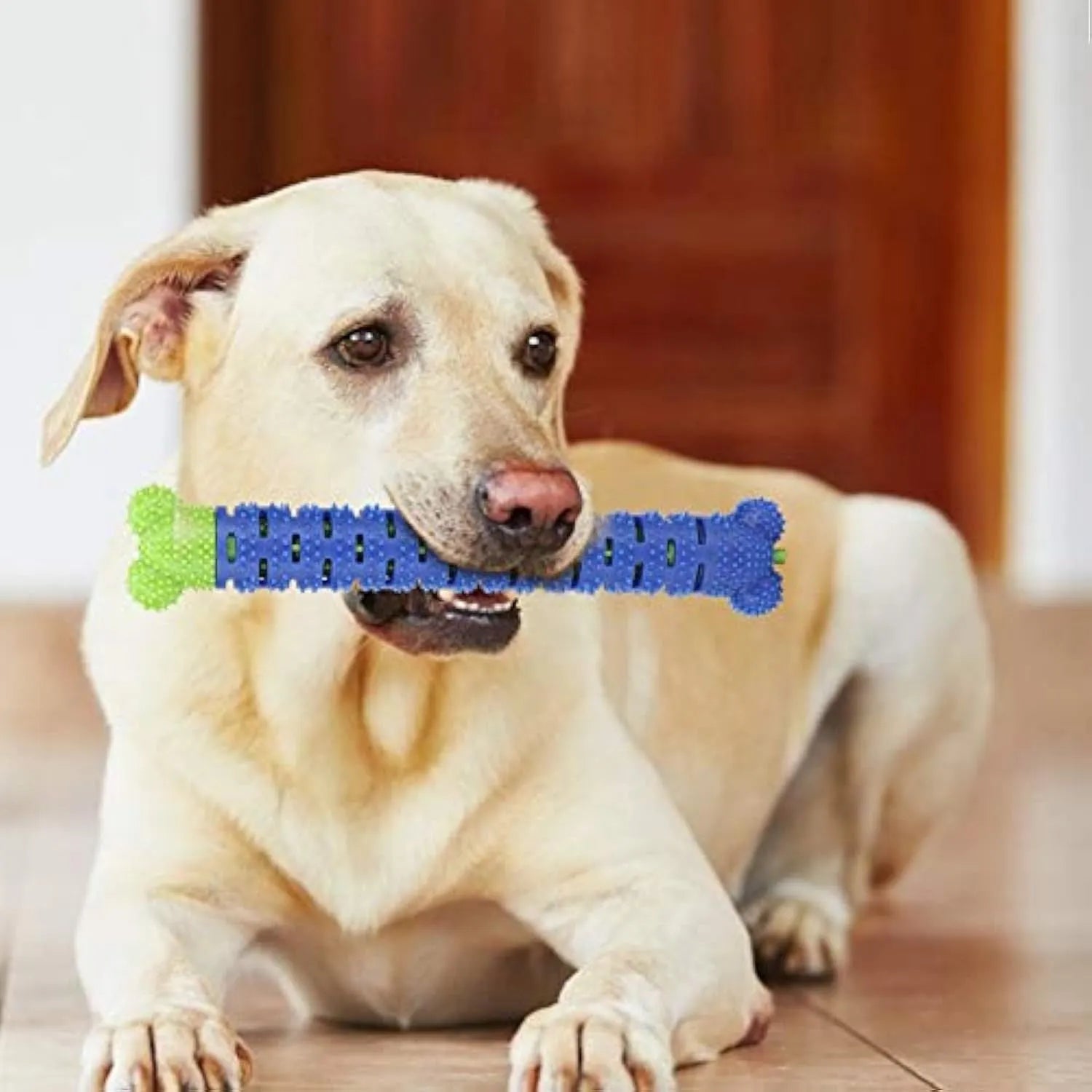 Blue-green 25cm long dog molar tooth cleaner chew toy with silicone bristles and massage nodules