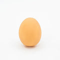 White simulation egg shaped dog toy with textured surface for teeth cleaning