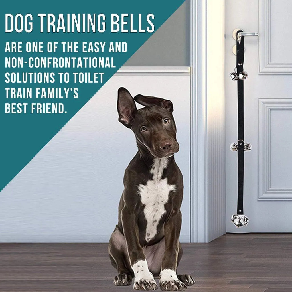 Seven large silver metal dog training bells on adjustable nylon leash for potty signal communication