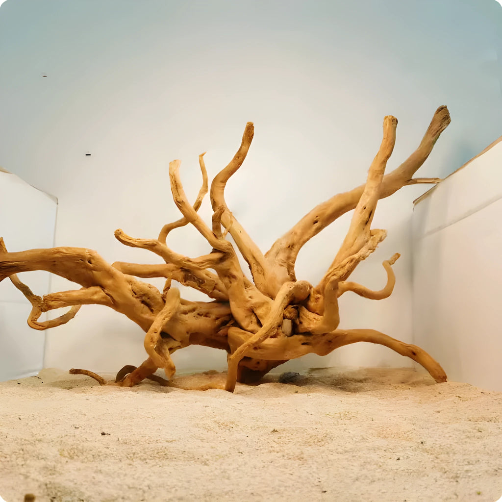 Xiaoqi root wood aquarium decoration showing natural root formations for fish tank scenery